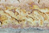 6.7" Colorful, Wild Fire Opal Slab (Not Polished) - Utah - #130591-1